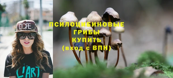 гидра Волосово