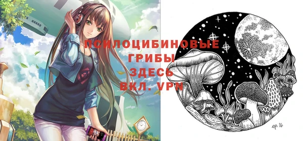 мескалин Богданович