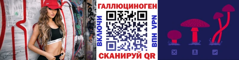 купить наркотики сайты  Тосно  Псилоцибиновые грибы MAGIC MUSHROOMS 